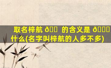 取名梓航 🐠 的含义是 🐕 什么(名字叫梓航的人多不多)